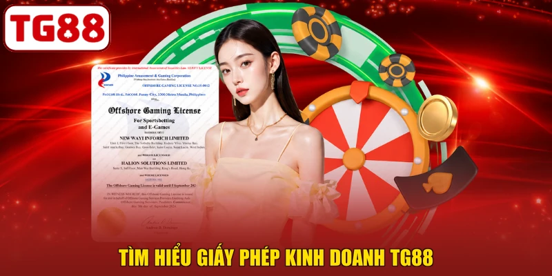 Tìm hiểu giấy phép kinh doanh TG88